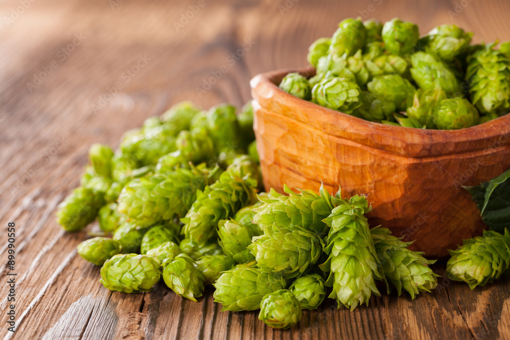 Fresh green hops on wooden desk Fresh green hops on wooden desk