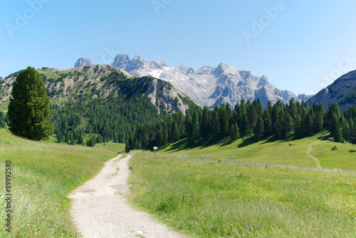 Path to the Alps