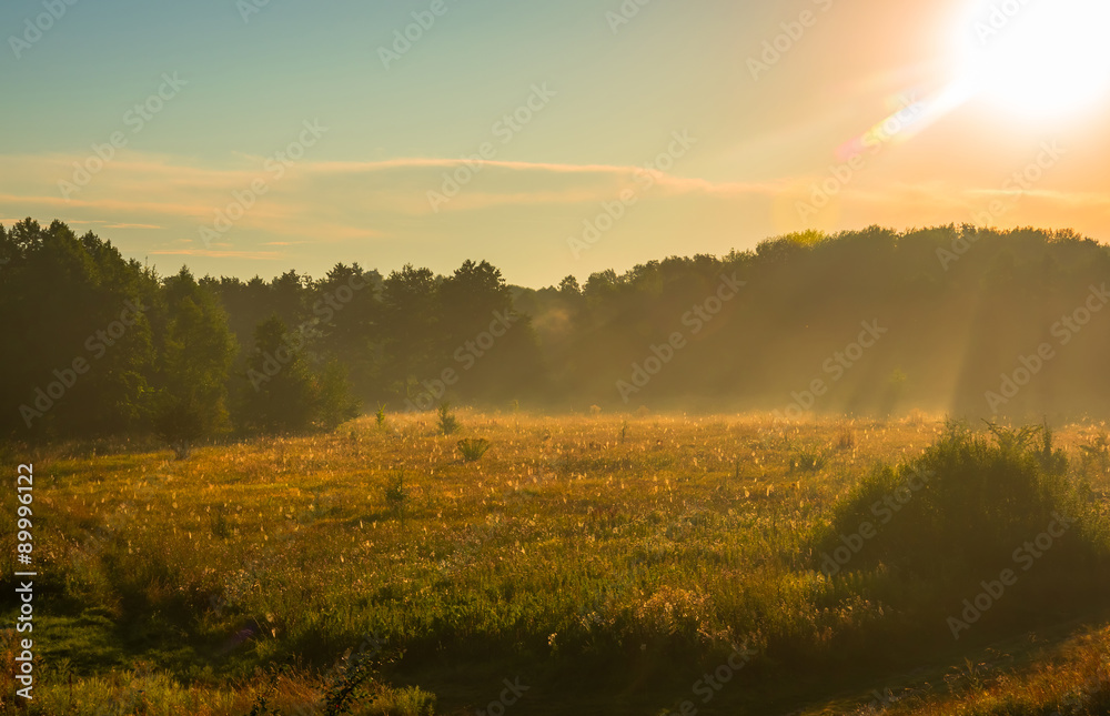 Early morning fog in the sunrise Early morning fog in the sunrise