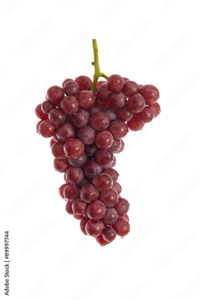 Fresh red grapes on white