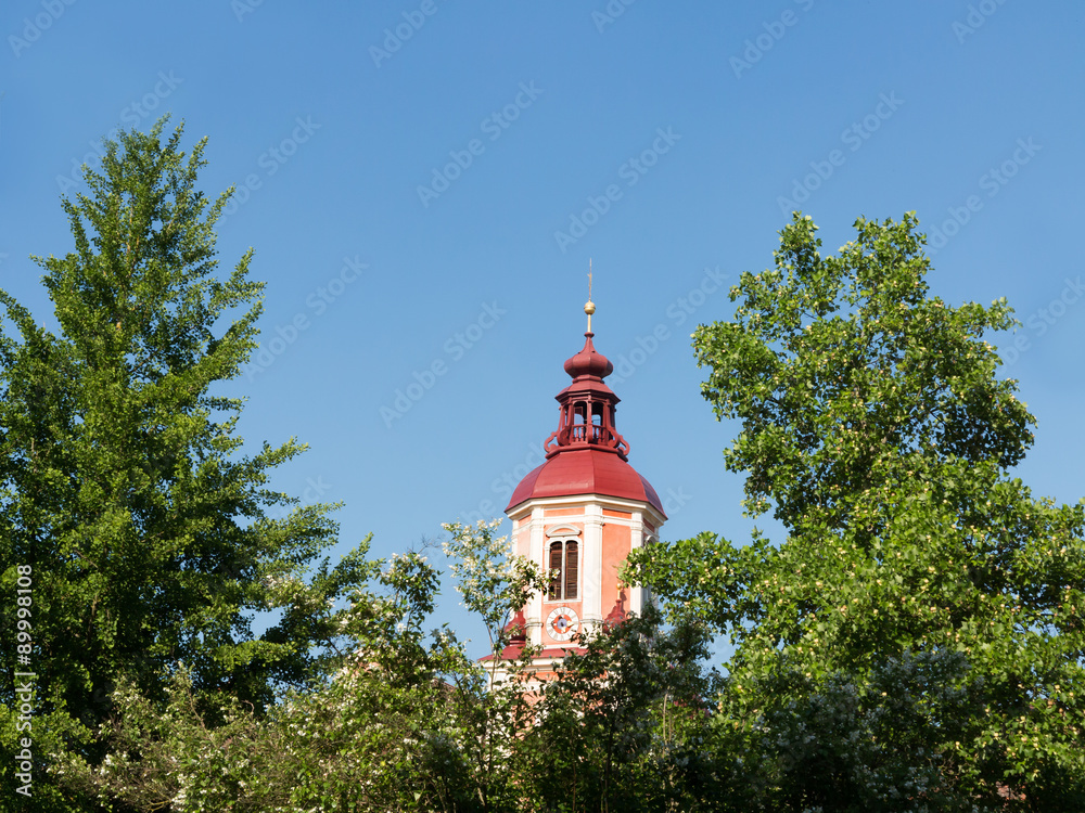 Blick durch Bäume auf Kirchturm der Stiftskirche St. Veit in Pöllau