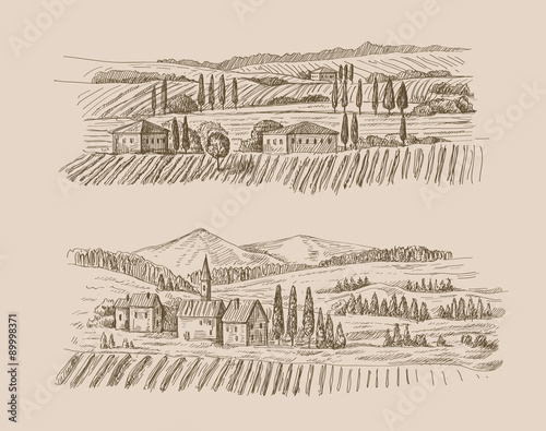 vector village sketch and nature