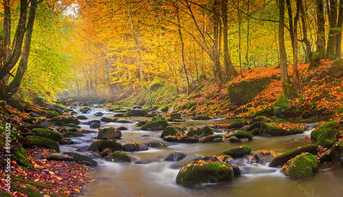 Fototapeta Naklejka Na Ścianę i Meble -  Landscape magic river in autumn forest at sunlight.