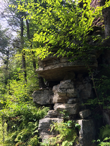 Rocks at Minnewaska State Park Reserve Upstate NY during summer time