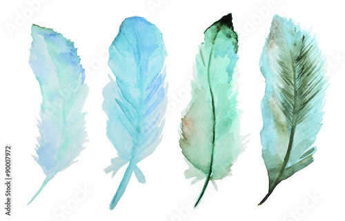 Watercolor feathers