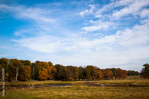 beautiful lake in Dyrehave park, Denmark