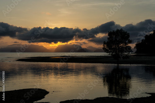 Fototapeta Naklejka Na Ścianę i Meble -  Tree at the Beach at sunrise time, Phang Nga National Park