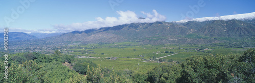 Orange groves and snowy mountains in the Ojai Valley, California