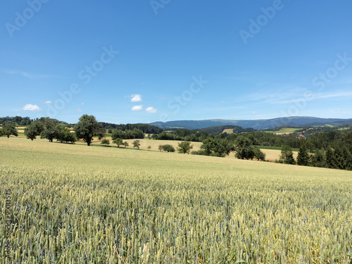 H  gellandschaft der Oststeiermark mit Feldern und Streuobstwiesen