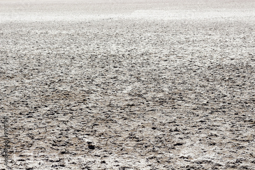 Saline soil of a fully dried lagoon