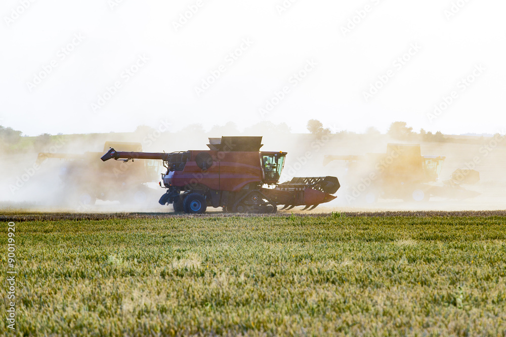 Combine working on barley field Combine working on barley field