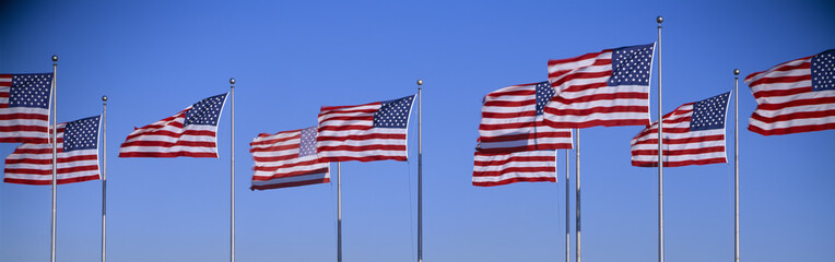 Group of American flags waving, Liberty State Park, New Jersey