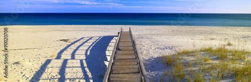 Pathway and sea oats on beach at Santa Rosa Island near Pensacola  Florida