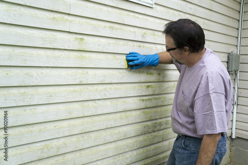 Contractor Removing Algae And Mold From Vinyl Siding