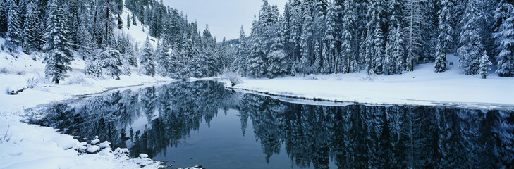 This is the Lake Tahoe area after a winter snow storm. There is snow covering the trees surrounding a stream. The winter trees are reflected in the stream.