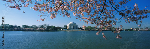 This is the Jefferson Memorial with cherry blossoms bordering the top of the frame. The Tidal Basin is in front of the memorial all against a blue sky.