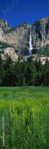 This is the Bridal Veil Falls in spring. There is a spring meadow in the foreground with small flowers blooming.