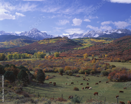Obraz na plátně This is the Sneffels Mountain Range near the Dallas Divide