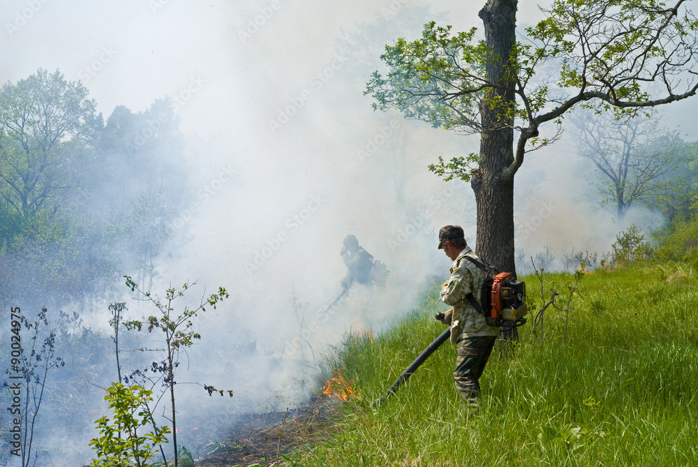 Suppression of forest fire 71
