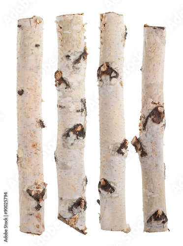 Fototapeta Birch logs isolated on white