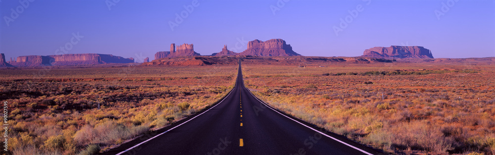 This is Route 163 that runs through the Navajo Indian Reservation. The road runs up the middle and gets smaller into infinity. The red rocks of Monument Valley are in the background. The scrub plants of the desert are on either side of the road.