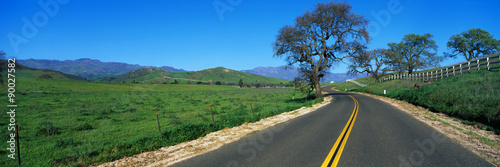 This is a road in spring in the Santa Ynez Mountains,. There are oak trees surrounding the road and a green field.