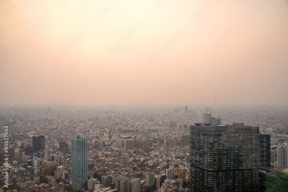 Cityscape of Tokyo, the view from free observator of Tokyo Metro