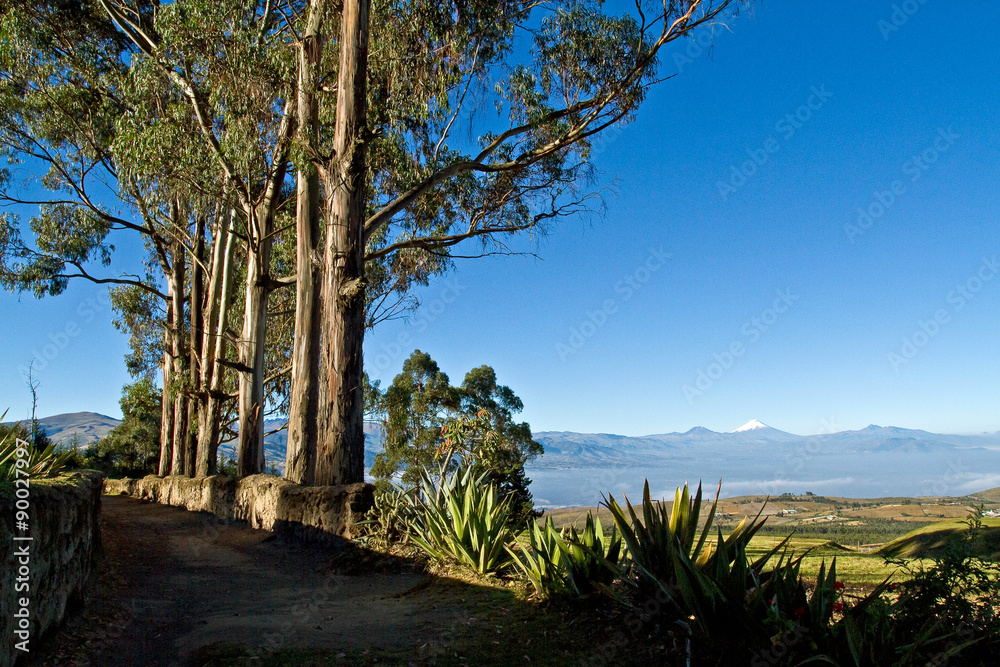 Beautiful dry landscape of the andean highlands in Ecuador Beautiful dry landscape of the andean highlands in Ecuador