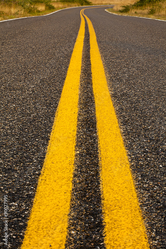 Bright Yellow Lines photo
