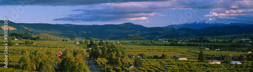 This is the Hood River Valley. It is the Valley view with Mount Hood in the background.