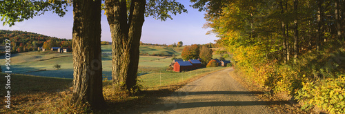 This is the road leading past the Jenne Farm. photo