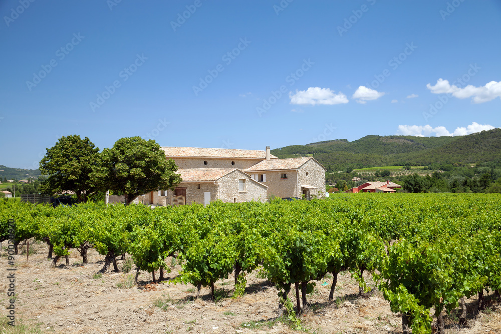 The farmhouse with vineyard, France The farmhouse with vineyard, France