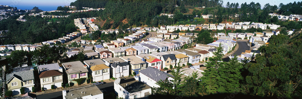 Obraz premium These are houses lined up in rows. They form a pattern and show urban congestion in housing. This is the view from Twin Peaks Mountain. There are green trees interspersed between the houses.