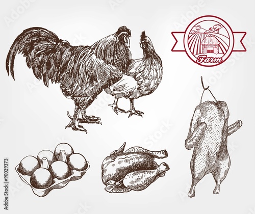 poultry breeding