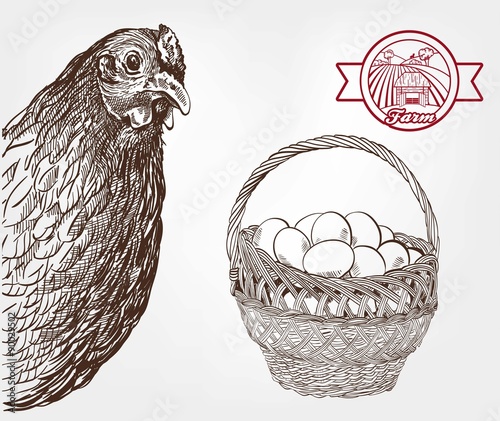poultry breeding