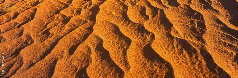 These are red sand dunes in morning light. There are line patterns in the sand from the wind.