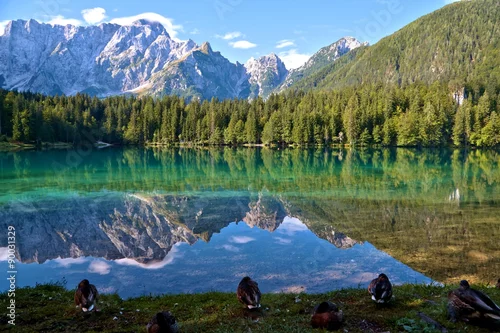Obraz Laghi di Fusine - Weissenfelser Seen - Belopeška jezera (w tle Mangart) Lato 2015