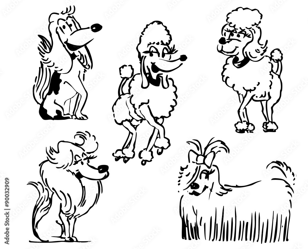 chiens 7 chiens 7