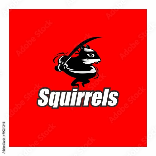 ninja squirels