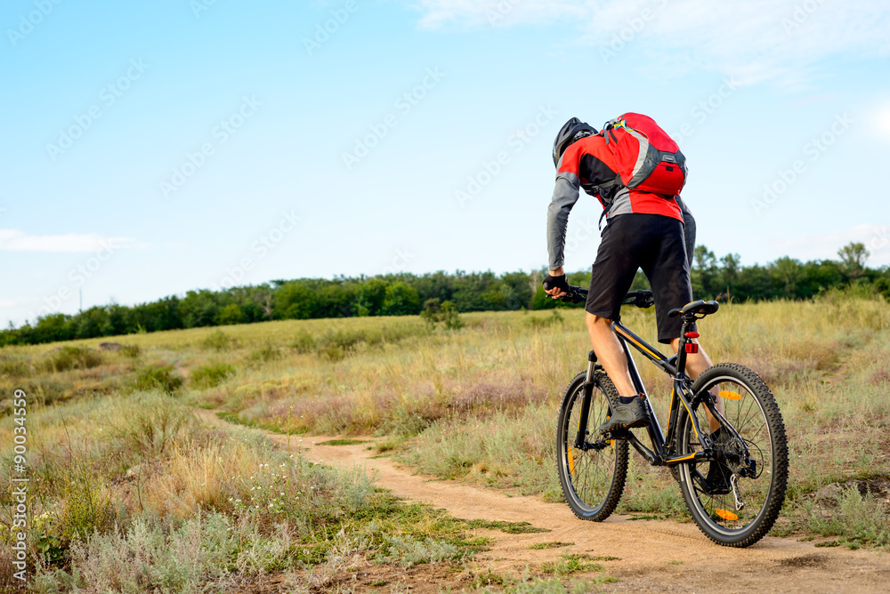 Obraz premium Cyclist Riding the Bike on the Beautiful Spring Mountain Trail