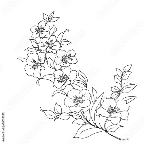 twig cherry blossoms