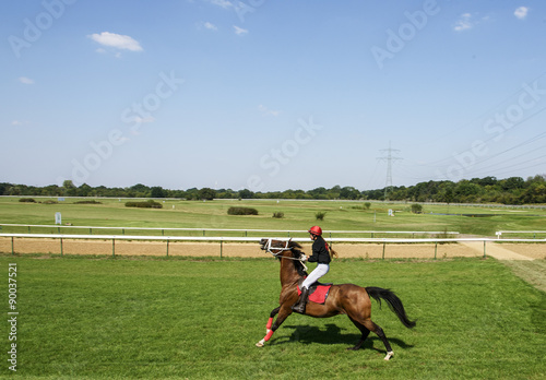 Girl jockey on the horse pulls reins