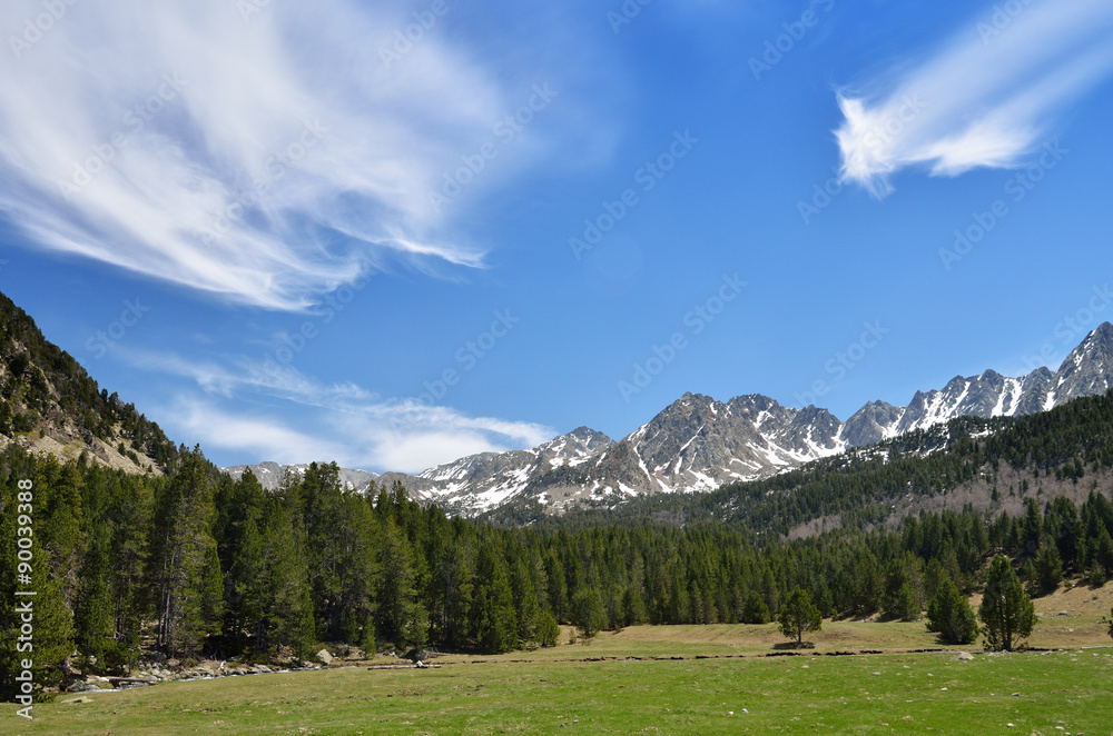 Alpine meadow in the Madriu-Perafita-Claror valley