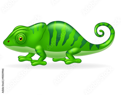 Cartoon cute Chameleon on white background 