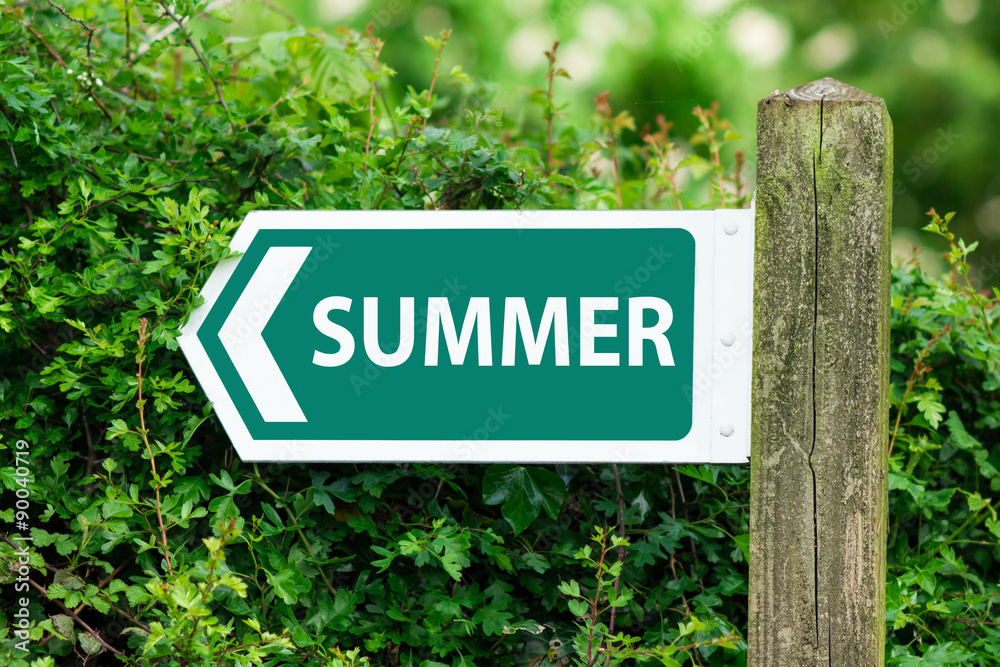 Direction Arrow, Sign To Summer in Green Color
