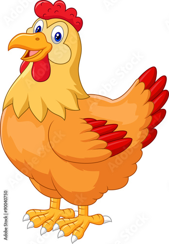 Chicken hen cute posing
