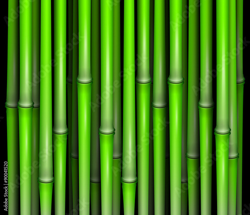 Bamboo abstract vector illustration isolated eps 10