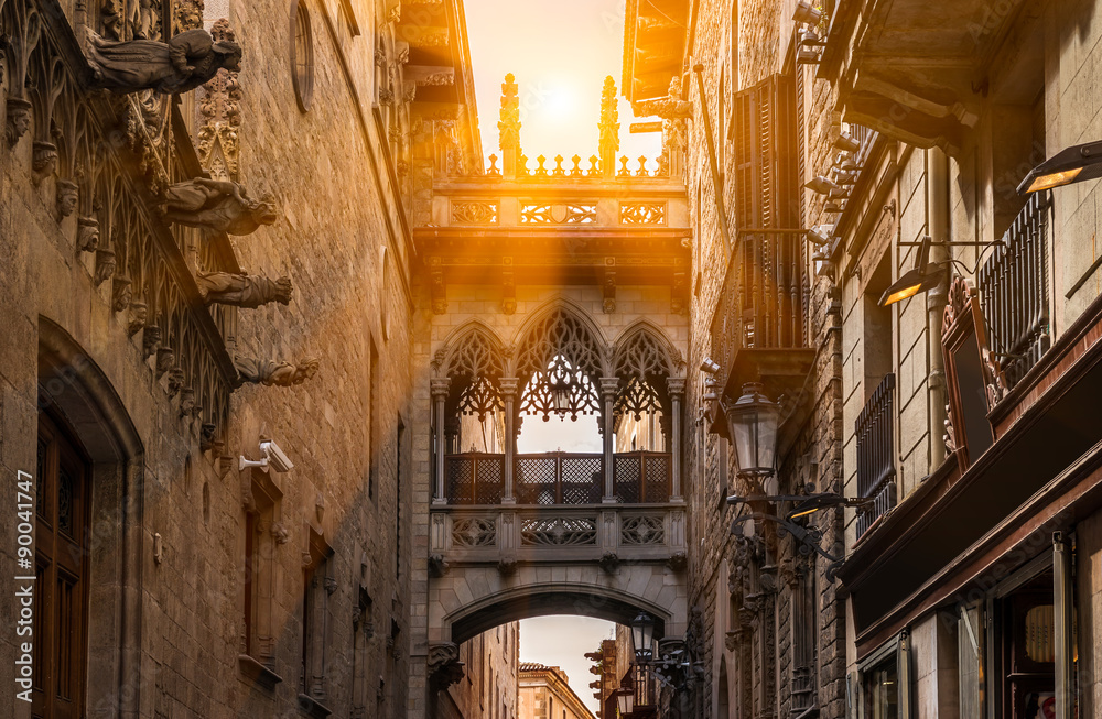 Fototapeta premium Most przy Calle del Obispo w Barrio Gotic, Barcelona. Hiszpania
