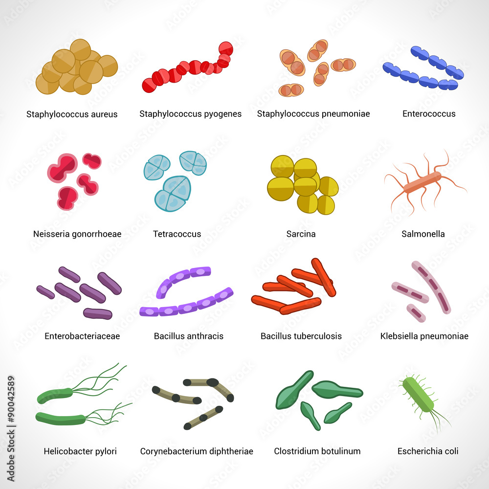 Bacteria icons set Bacteria icons set