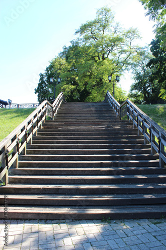 wooden stairs in the city park